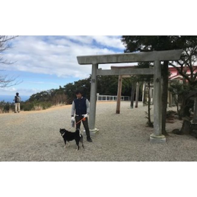 朝熊山山頂への散歩代行も致します