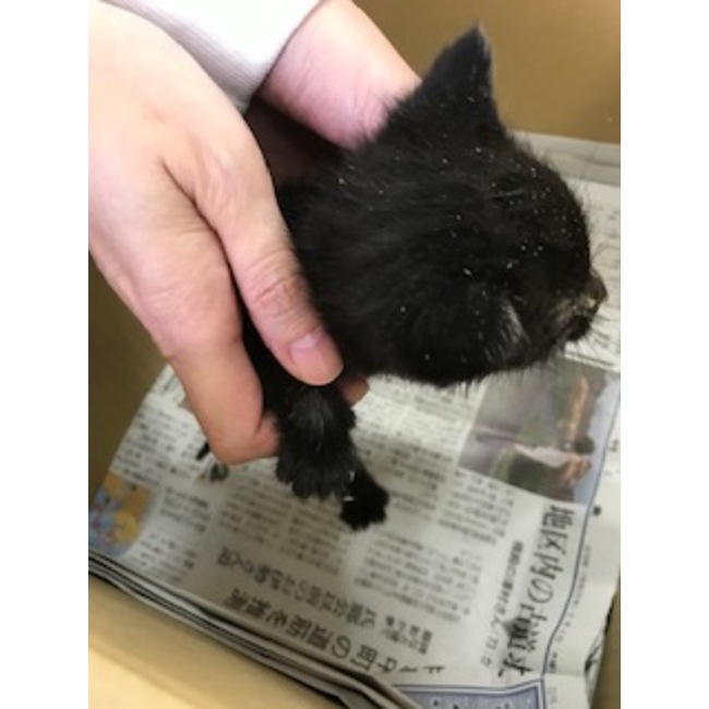 ご対面前からジジという名前が付けられていました